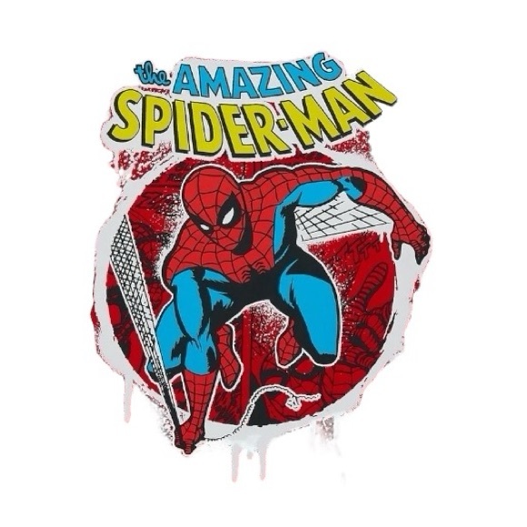 Marvel Amazing Spider-Man Graphic Tee - Picture 4 of 9
